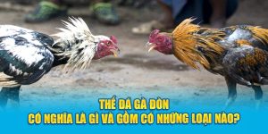 Thế đá gà đòn